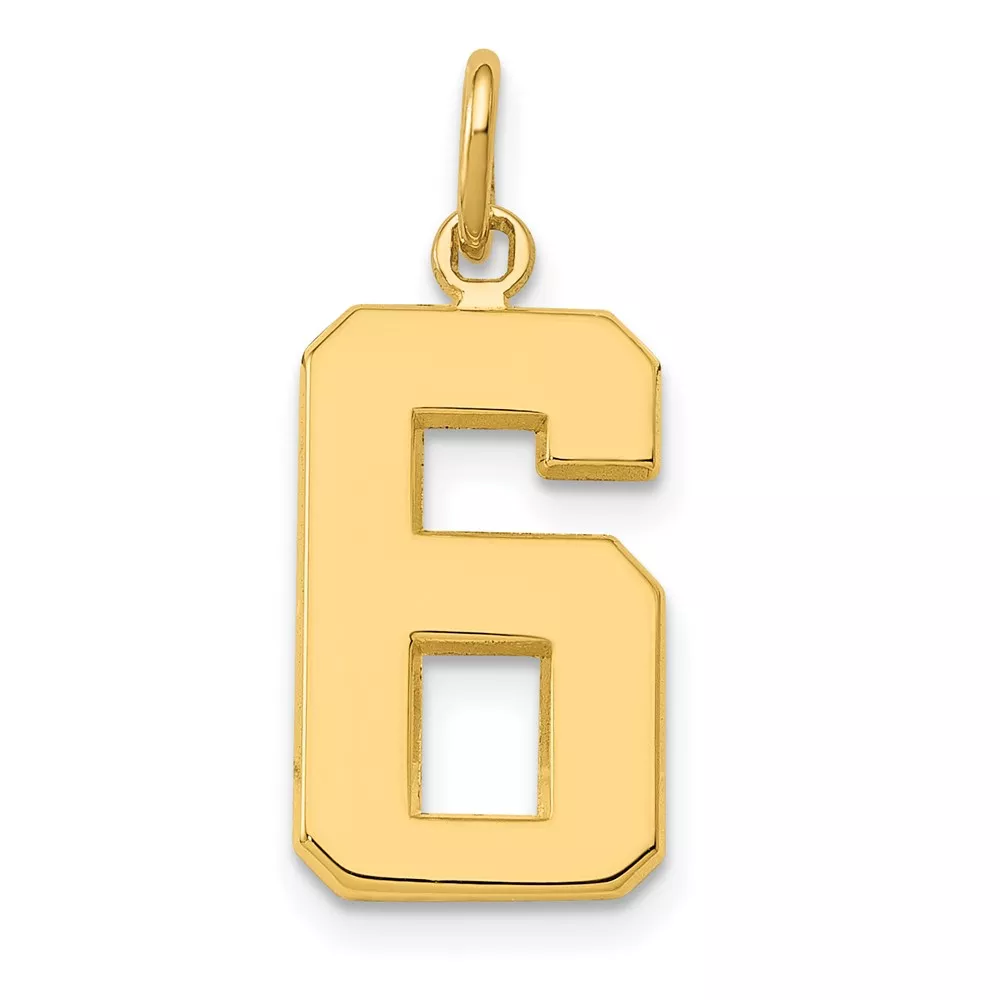 10k Medium Polished Number 6 Charm