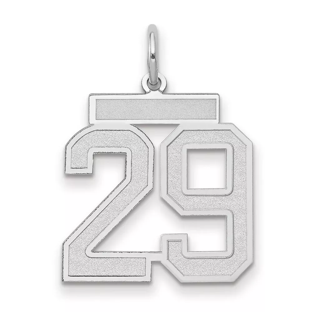 14k White Goldw Medium Satin Number 29 Charm