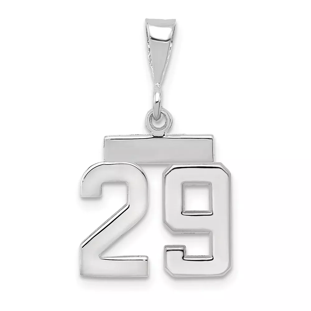 14k White Goldw Small Polished Number 29 Charm