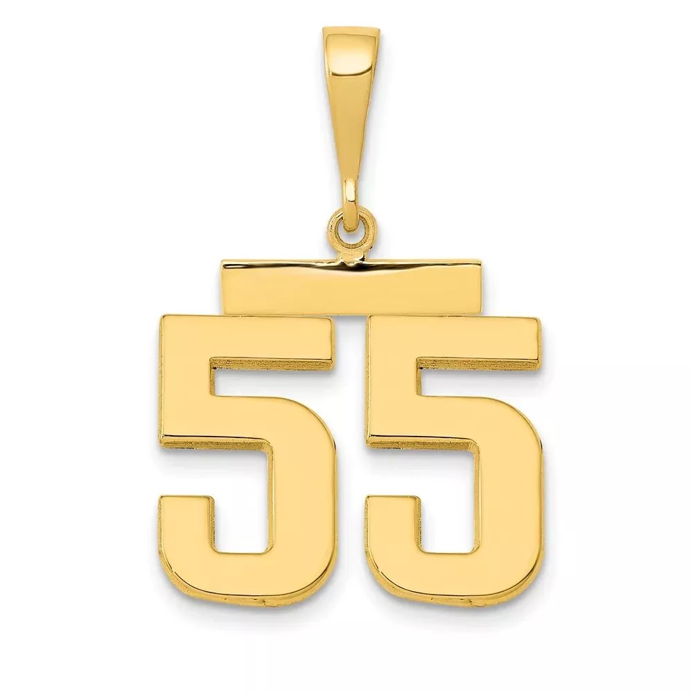 14k Yellow Gold Medium Polished Number 55 Charm