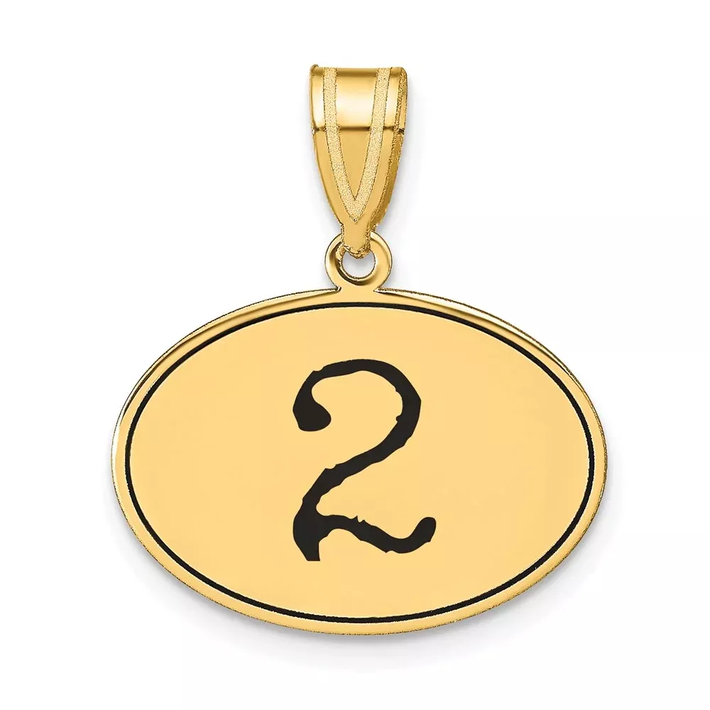 14k Yellow Gold Polished Number 2 Black Enamel Oval Pendant