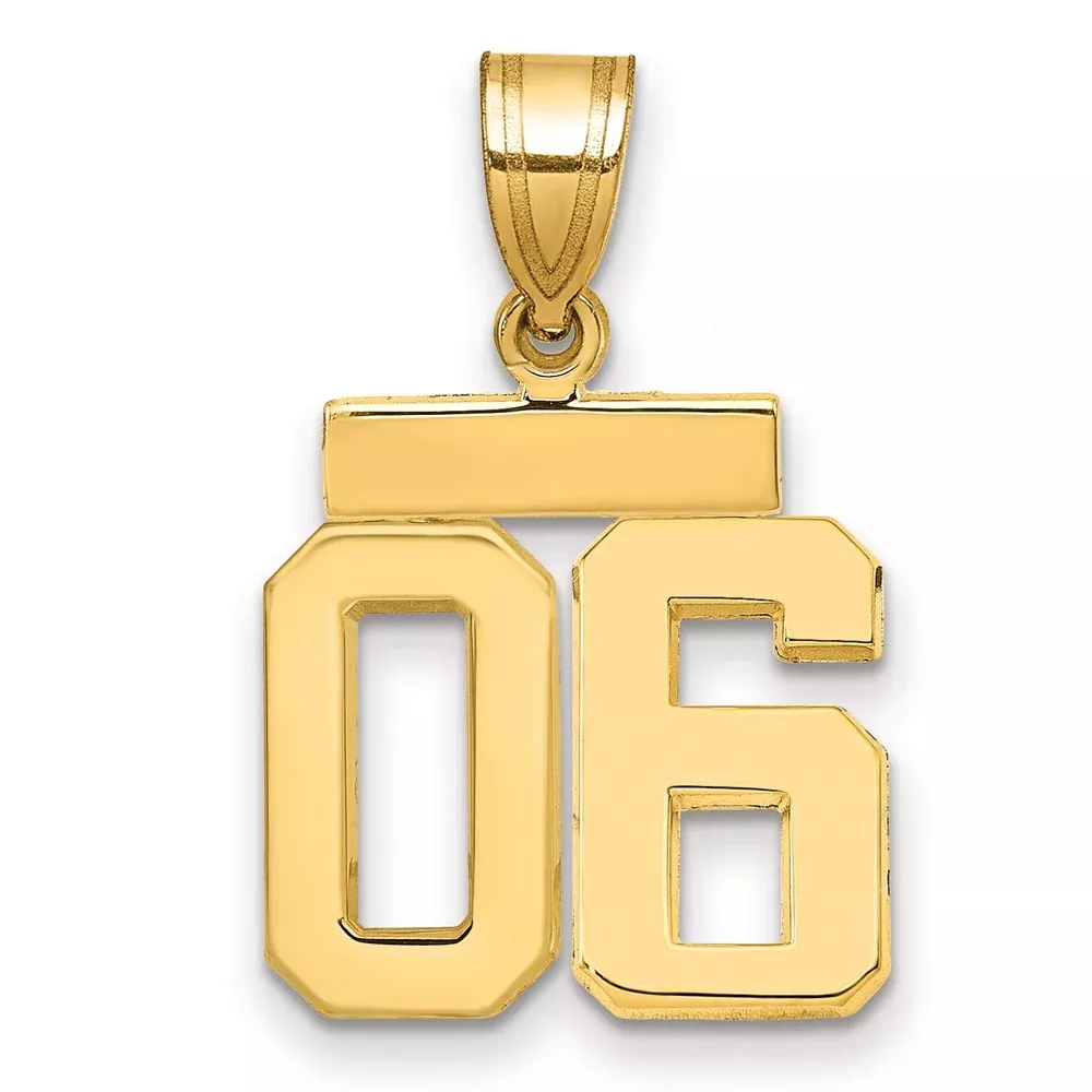 14k Yellow Gold Small Polished Number 06 on Top Charm